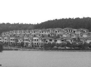 国际庄最新爆料桃园里,桃园里新动态，带你领略这座城市的魅力所在