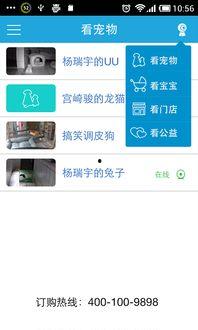 云爆料最新视频下载,下载背后的科技奥秘