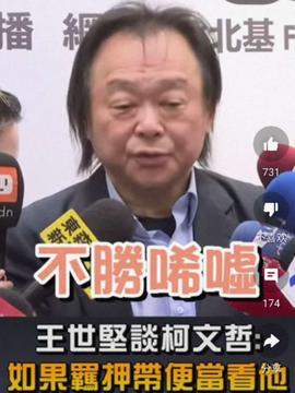 王世坚最新爆料视频大全,揭秘事件真相与内幕